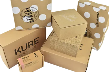 Експресна доставка Кутии във Zwijnaarde BE